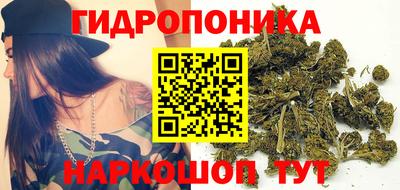 прущая мука Лесосибирск