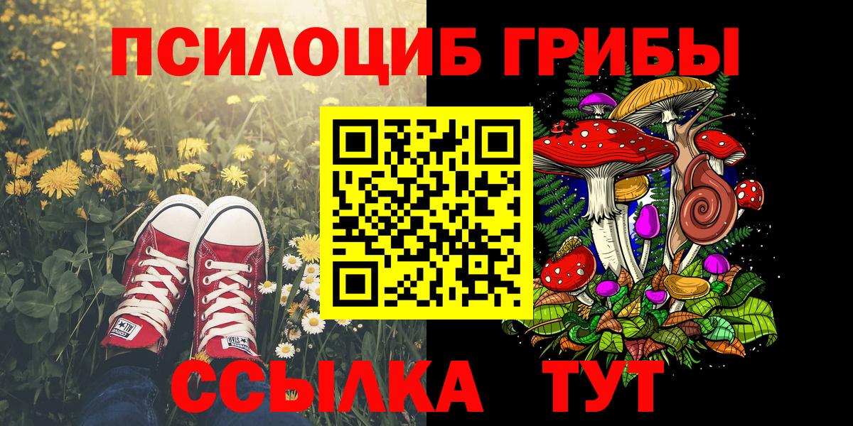 Псилоцибиновые грибы Cubensis  где продают наркотики  Вход с VPN  Златоуст  Галлюциногенные грибы GOLDEN TEACHER 