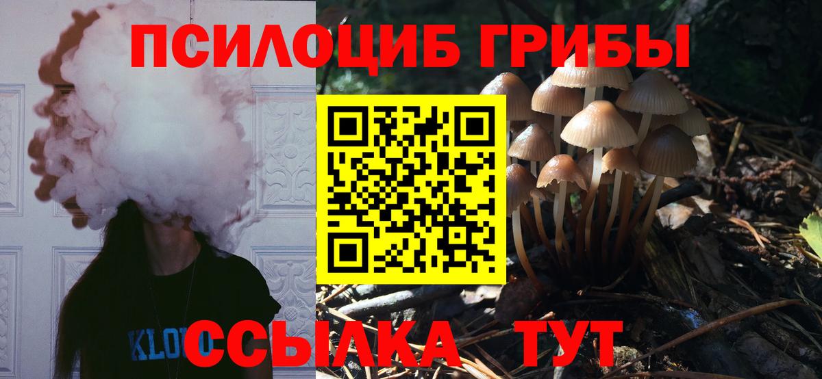 Галлюциногенные грибы мухоморы Златоуст